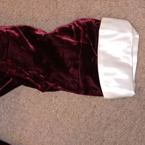 Velvet Vintage Dress - Picture 4 of 4